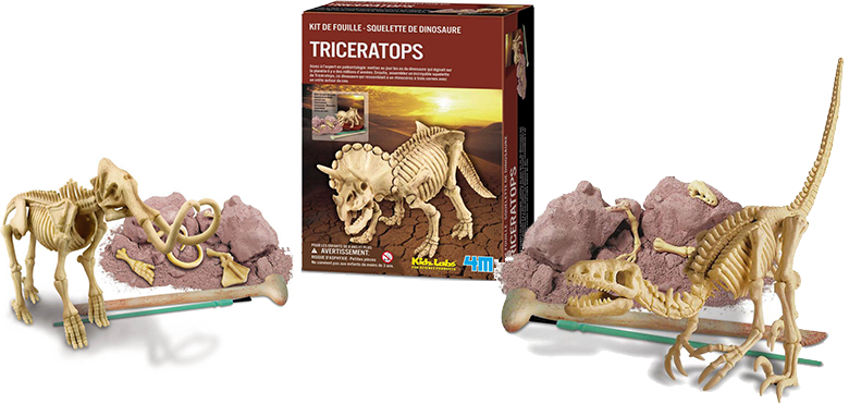 dino