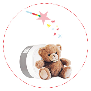 Histoire d'ours - boulidoux