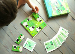 Cartes Sheep Logic
