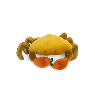Grand crabe Tout autour du monde