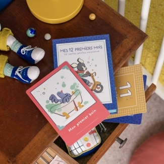 Cartes Mes 12 premiers mois Puce & Pilou (30 cartes)