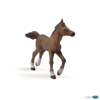 Figurine poulain angloarabe