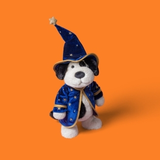 Peluche Chien Rufferty costume magicien