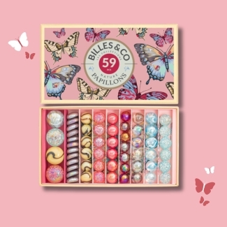 Coffret 59 billes Papillons anamorphiques