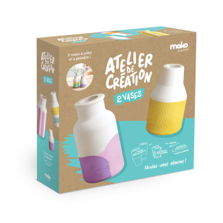 Coffret moulage 2 vases à créer