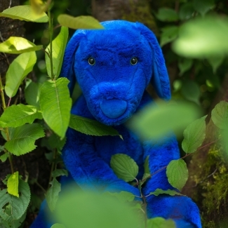 Peluche Chien Bleu