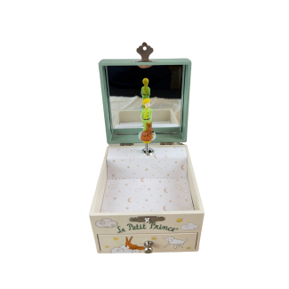 Coffret musique cube phosphorescent Le Petit Prince jardin