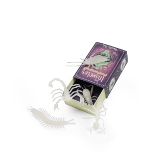 5 insectes phosphorescents Les Petites Merveilles
