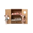 Studio de danse souris avec petite soeur et petit frère