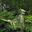 Cape trex vert 47 ans