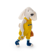 Grande peluche dactivits Chien Pilou Puce  Pilou