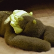 Peluche Dinosaure 50 cm