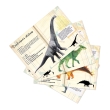 Puzzle dinosaures 500 pcs Museum