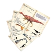 Puzzle dinosaures 500 pcs Museum