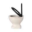 Toilettes Blanc