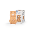 Veilleuse Hamster USB Puce  Pilou