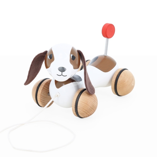 Chien à trainer