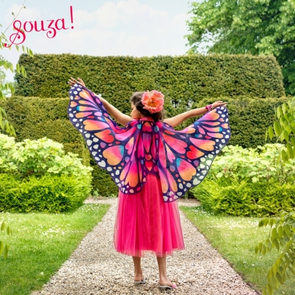 Déguisement Robe Papillon + ailes 3-4 ans