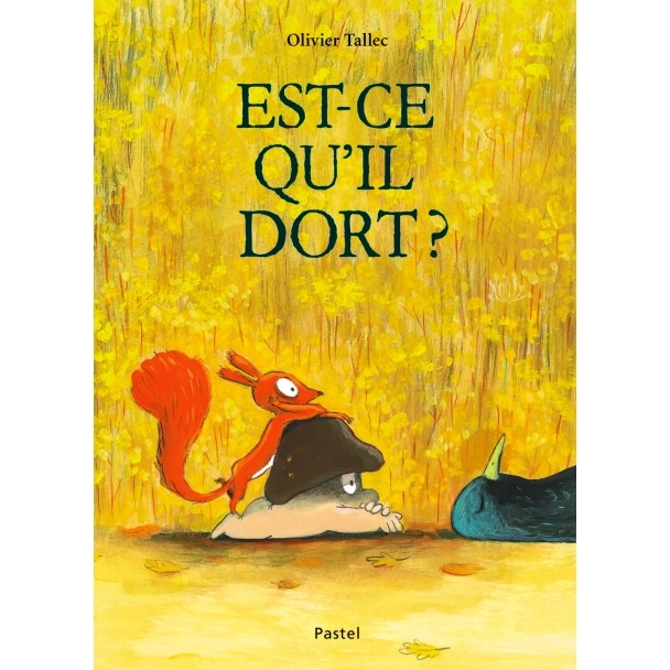 Livre Est-ce qu'il dort ?