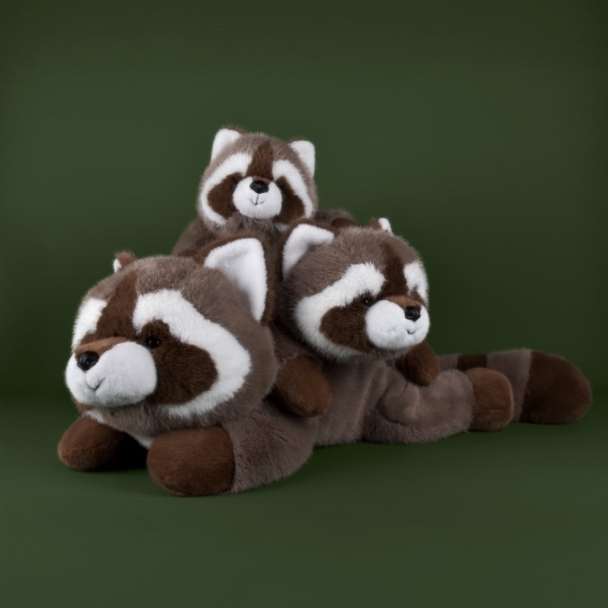 Peluche Vasco le raton laveur 32 cm
