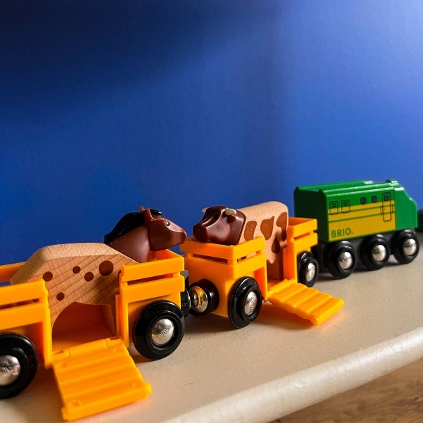 Train des Animaux de la Ferme