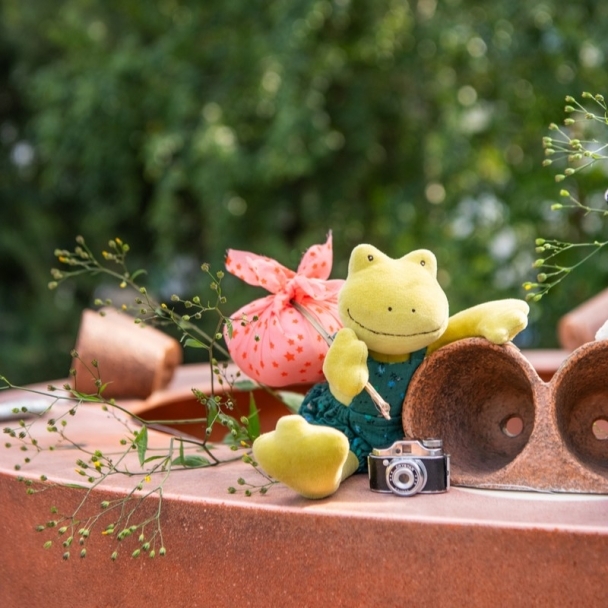 Perlette la grenouille Les Petits Frères